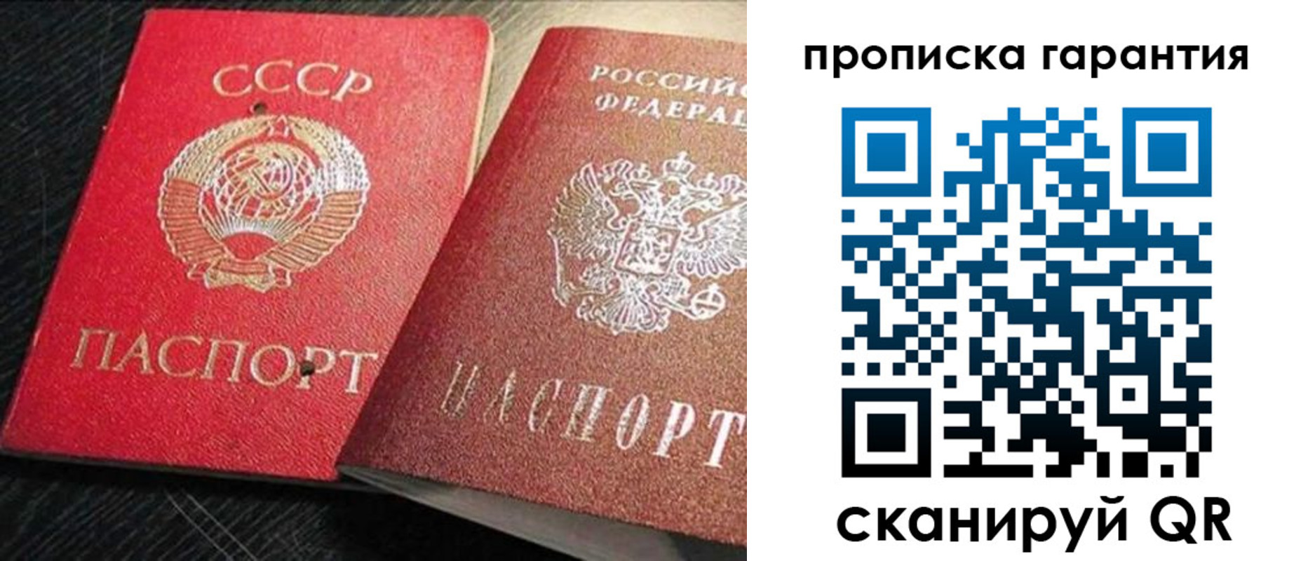 прописка 2025 в Пионерском